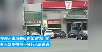 女子驾车撞死母亲逃逸被警车逼停