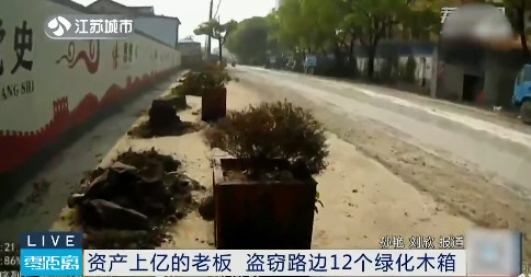 亿万富翁盗窃绿化木箱给丈母娘种菜