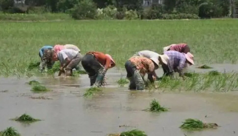 河北回应农民春耕办不了通行证