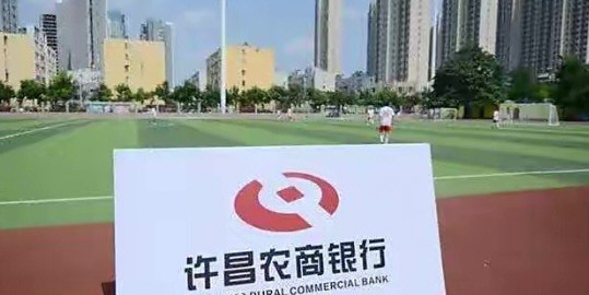 河南村镇银行案一批犯罪嫌疑人被抓