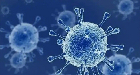 疫苗接种偶合症占比近10% 意味什么?