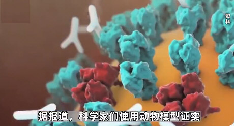 研究:新冠病毒会影响视力和深度知觉