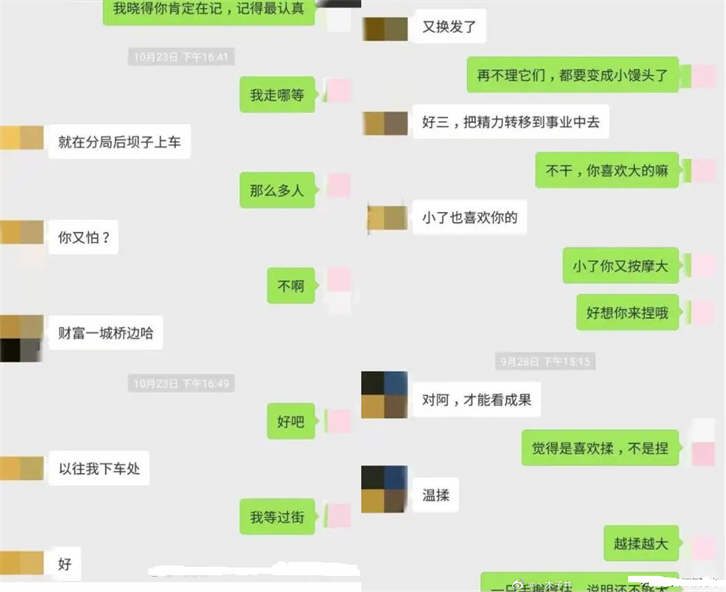 成都干部不雅聊天续:男方4日还参会