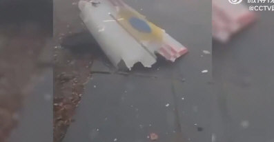 乌克兰内务部长坠机身亡