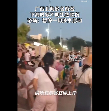 北海一浴场突发不明鱼类伤人事件