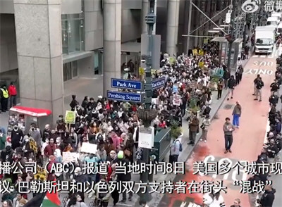 巴以支持者在美国街头举旗混战