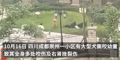 被狗咬伤女童母亲：咬人黑狗已找到