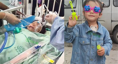 被恶犬咬伤女童家属发起200万筹款