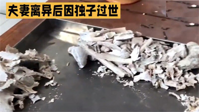 独子去世离异父母各分走一半骨灰