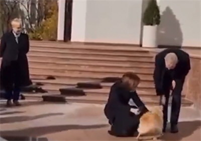 摩尔多瓦总统爱犬咬伤奥地利总统