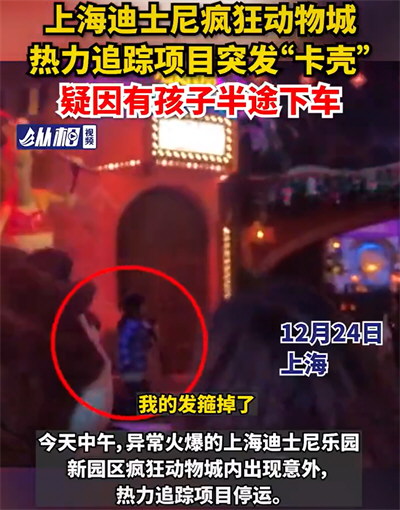 上海迪士尼证实有儿童被撞