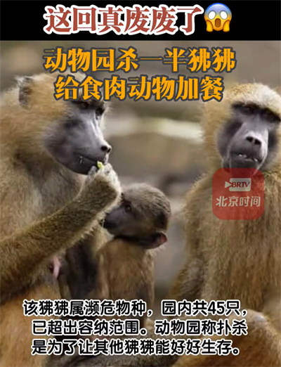 德国动物园杀一半狒狒喂其他动物
