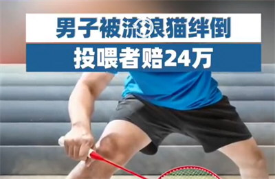 男子被流浪猫绊倒 投喂者赔24万