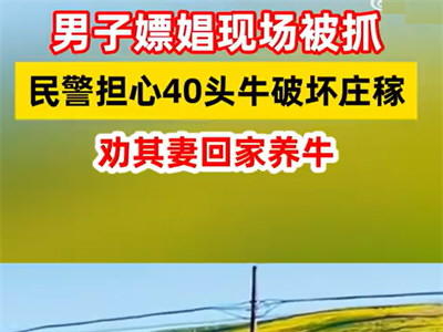 男子嫖娼被抓妻子选择原谅回家养牛