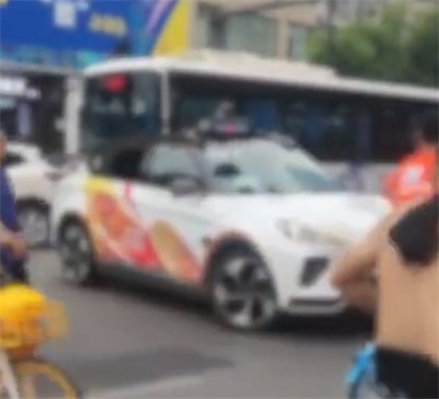 萝卜快跑网约车罢工横停马路