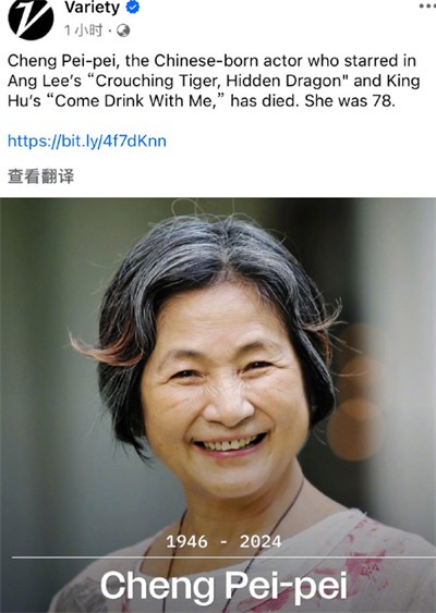 刘涛悼念郑佩佩