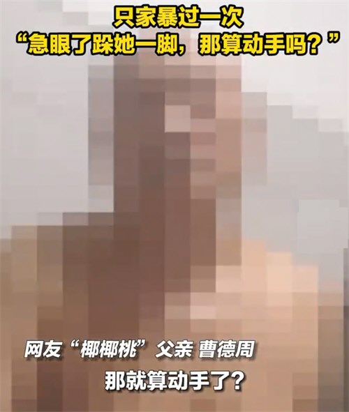 椰椰桃父亲称偶尔踹一脚不算家暴