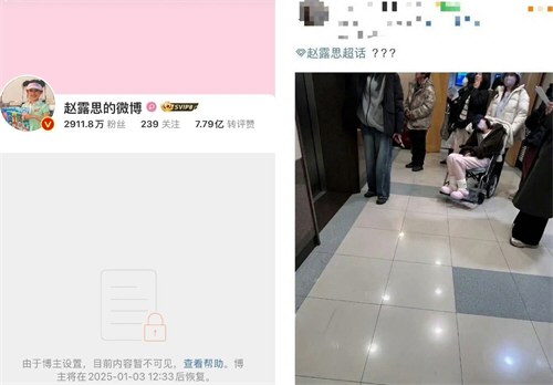 赵露思坐轮椅