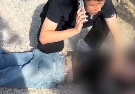 山东一公园马匹撞伤多人有人进ICU