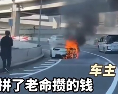 男子攒钱10年买法拉利提车1小时后自燃