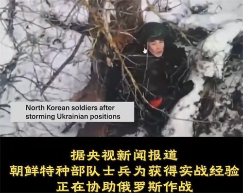 朝鲜证实出兵俄罗斯