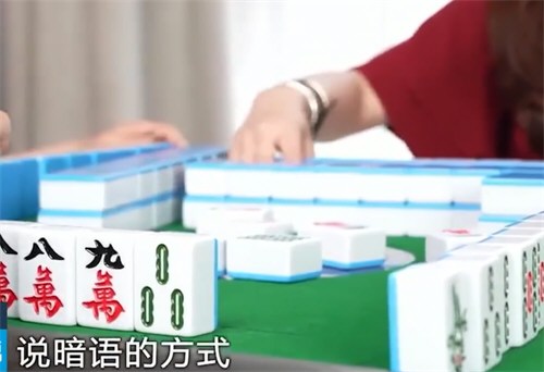 5人用方言作弊打麻将骗了9万元