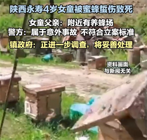 陕西永寿4岁女童被蜜蜂蜇伤致死