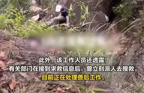 37岁女子福建爬山拍照时坠崖身亡