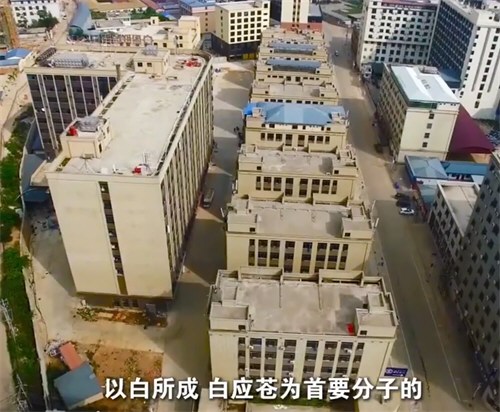 缅北白家开发建设41个大型赌诈园区
