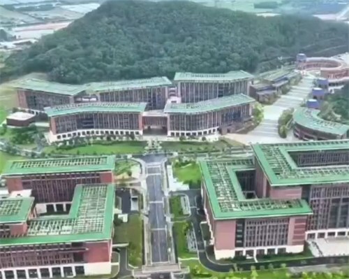 中山大学通报133人被取消录取资格