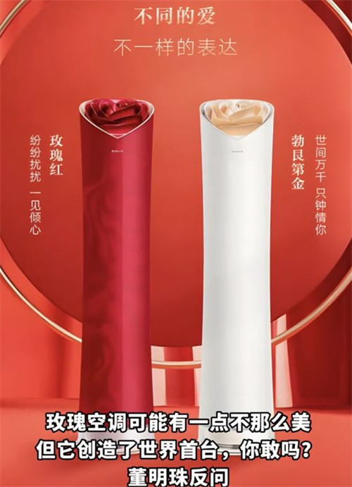 董明珠再回应玫瑰空调争议 董明珠再回应玫瑰空调争议