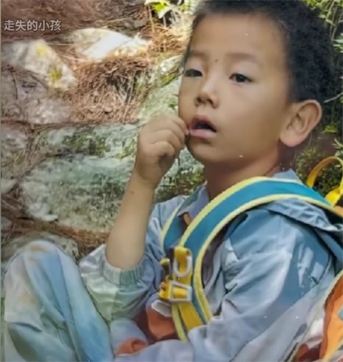 云南大理一7岁小孩在苍山走失