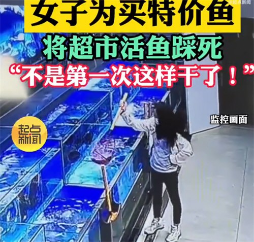女子为买特价鱼将超市活鱼踩死 女子为买特价鱼将超市活鱼踩死