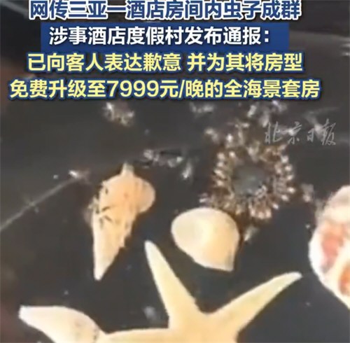 三亚7199元一晚的酒店虫子成群