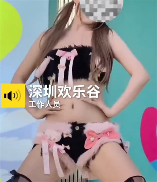 深圳欢乐谷被指有擦边表演
