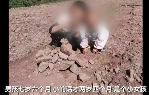 云南牟定一对兄妹被蜂群蜇伤致死