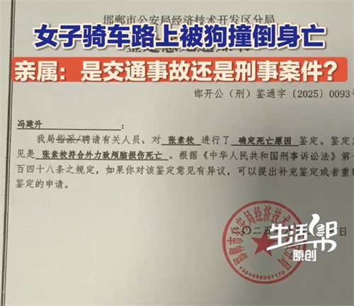 河北一女子骑车路上被狗撞倒身亡