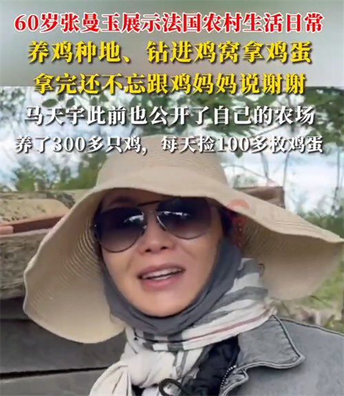 60岁张曼玉定居法国农村