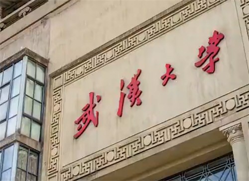 武大多人被问责