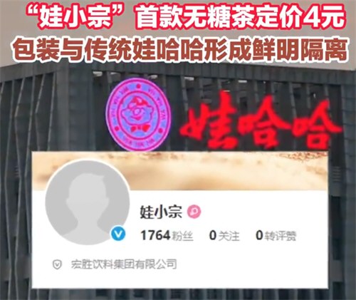 宗泽后称水军害了宗馥莉