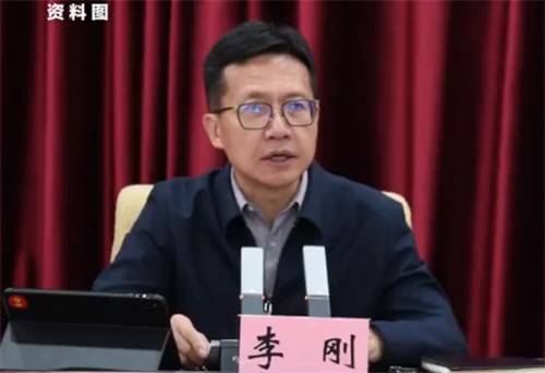 丽江市长李刚主动投案