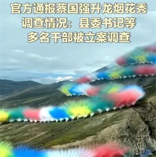 蔡国强烟花秀调查情况