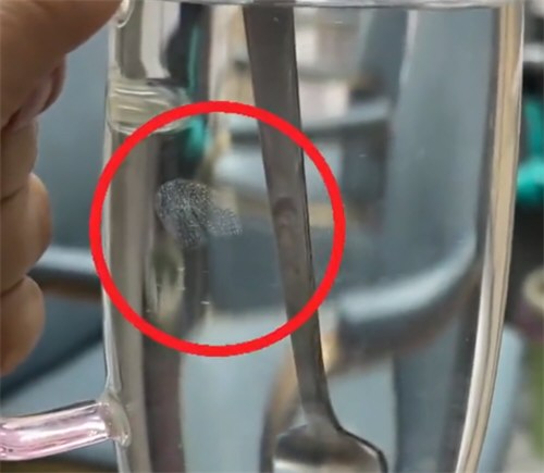 女子早起喝隔夜水发现疑似虫卵物