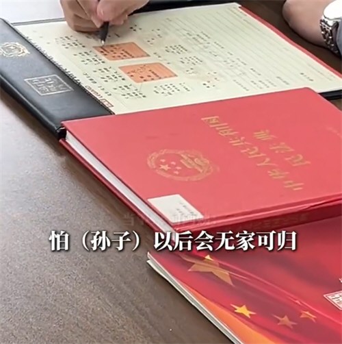 孙子遭继母打骂奶奶房产传孙不传儿