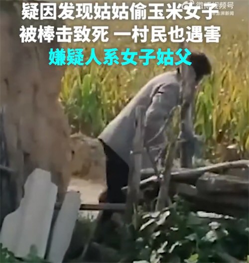 疑因发现姑姑偷玉米女子被姑父打死 疑因发现姑姑偷玉米女子被姑父打死