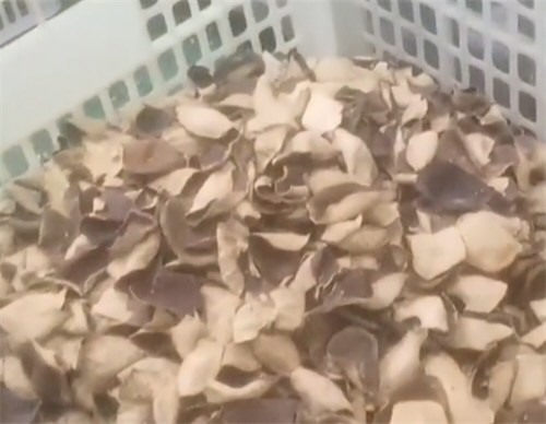 央视曝光20倍暴利假陈皮 央视曝光20倍暴利假陈皮