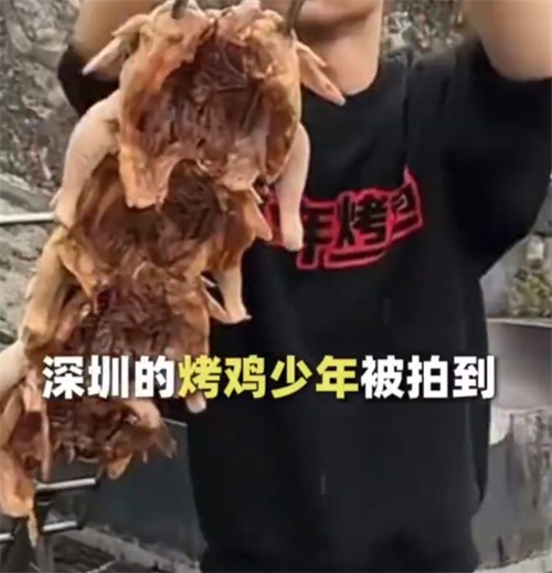 专家建议尽量少用或不用肉宝王