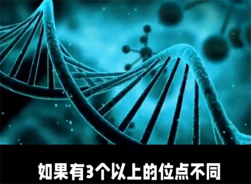 亲子鉴定遭拒男子将妻子踢成轻伤