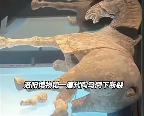 洛阳博物馆被曝一唐代陶马倒下断裂