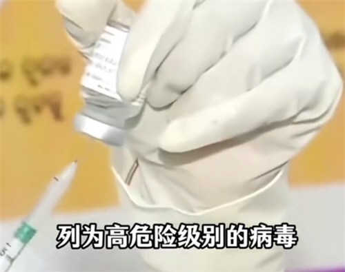 印度疫情感染者死亡率超7成